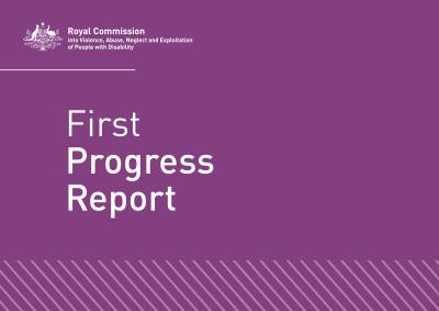 First progress report
