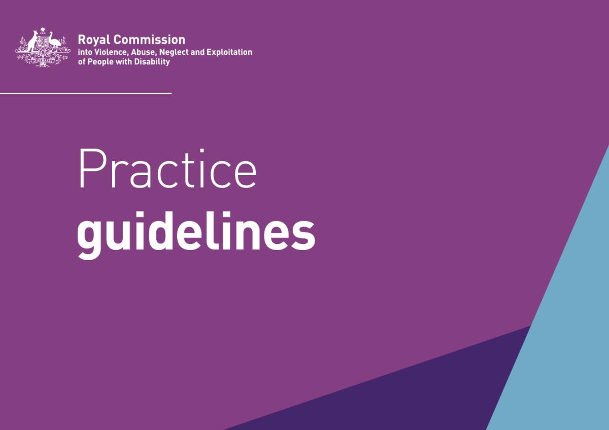 Public hearings Royal Commission into Violence, Abuse, Neglect and