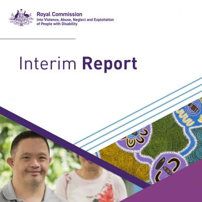 Interim report