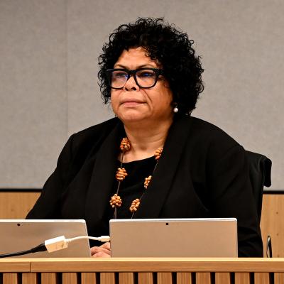 Additional hearing day on barriers to education for students with disability